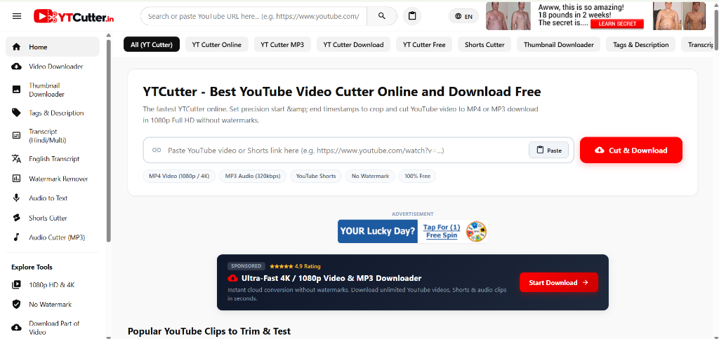 YTCutter Online Tool Theme